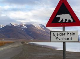 Wild Wonders of the Arctic - 8 Days