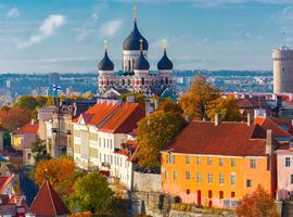 Christmas Markets in Tallinn - 4 Days