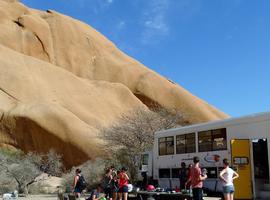 Namibia to Falls - 12 Days