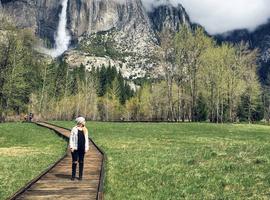 Yosemite Hiking & Camping - 3 Days
