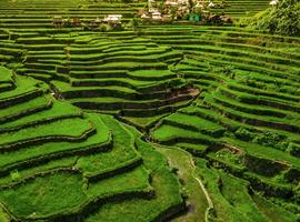 Best of the Philippines - Private - 14 Days
