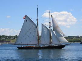 Newfoundland Viking Trail From Halifax - 8 Days