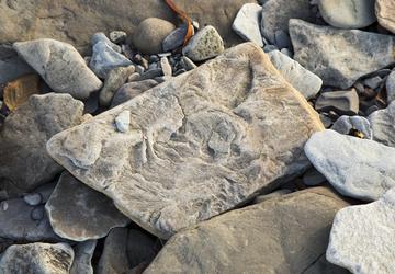 Image 2 of 15