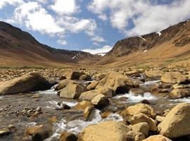 Newfoundland Explorer (Small Group) - 12 Days