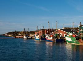 Newfoundland Viking Trail From Corner Brook (Small Group) - 7 Days