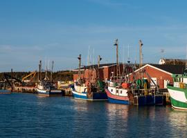 Newfoundland Viking Trail From Corner Brook (Small Group) - 7 Days