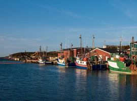 Newfoundland Viking Trail From Corner Brook (Small Group) - 7 Days