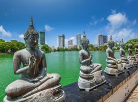 Essential Sri Lanka Explorer - 13 Days