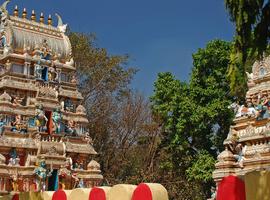 Bangalore, Mysore & Nagarhole - Private - 8 Days