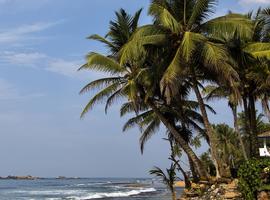 Sri Lanka Adventure - 12 Days