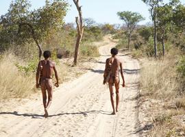 Okavango & Chobe Discovery - 8 Days