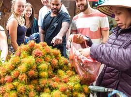Hanoi & Sapa to Hoi An  - 12 Days