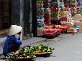 Hanoi to Ho Chi Minh Youth Adventure  - 12 Days