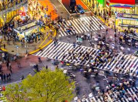 Highlights of Japan Youth Adventure  - 17 Days