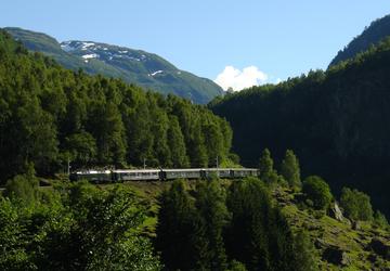 Image 3 of 7