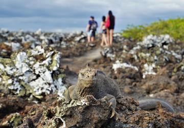 Image 3 of 5