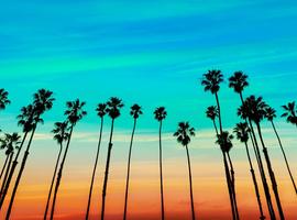 Palm Springs, Joshua Tree & Death Valley - 6 Days