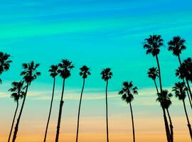 Palm Springs, Joshua Tree & Death Valley - 6 Days