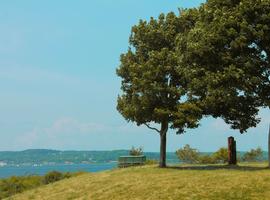 Captivating Cape Breton Island - 5 Days
