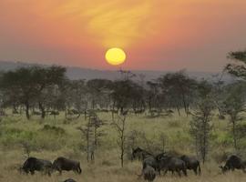 Serengeti & Ngorongoro Crater (Lodge) - 4 Days