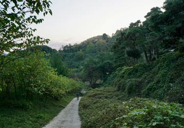 Image 2 of 17