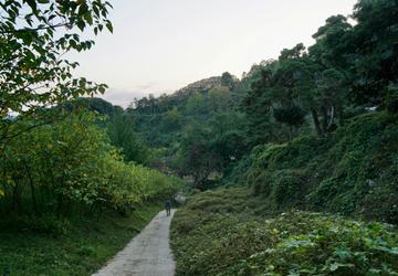 Image 2 of 17