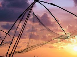 Kochi, Kerala & Munnar - 5 Days