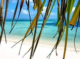 South Maldives Island Hopping - 8 Days