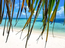 South Maldives Island Hopping - 8 Days