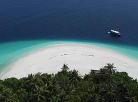 Maldives Sea Turtle Conservation Cruise - 8 Days