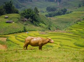 Secrets of North Vietnam - 8 Days