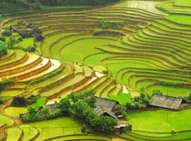 Highlights of North Vietnam - 11 Days