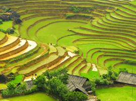 Highlights of North Vietnam - 11 Days