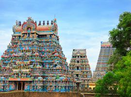 Spectacular South India - 14 Days