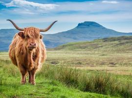 Inverness to Orkney - 3 Days