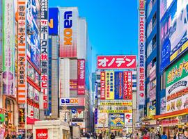 Enchanting Japan Tokyo to Osaka Adventure - 7 Days