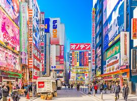 Enchanting Japan Tokyo to Osaka Adventure - 7 Days