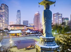 From Seoul's Wonders to Tokyo's Charm - 16 Days