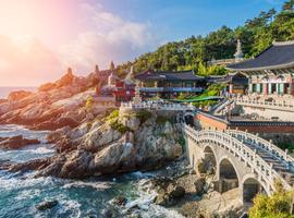 Korean Cultural Odyssey Temples to Towers - 9 Days