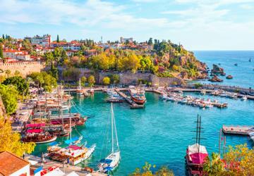 Image 1 of 15
