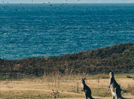 Best of Tasmania’s Heartlands - 4 Days
