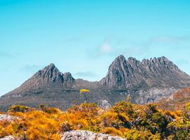 Wild Tasmania & Coastal Wonders - 6 Days