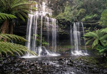 Image 2 of 6
