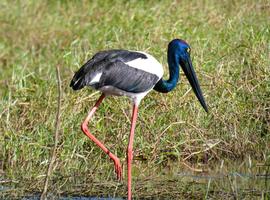 Best of Kakadu & Litchfield - 3 Days