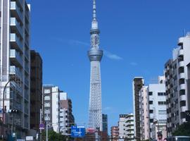 Tokyo & Hakone Gateway to Mount Fuji (4 Star) - 4 Days 