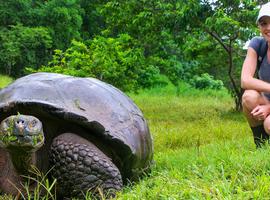 Quito, Santa Cruz & Isabela - 7 Days