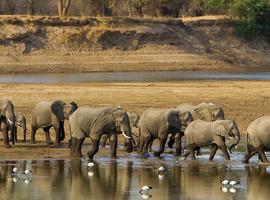 Victoria Falls, Kruger & Cape Town - 11 Days