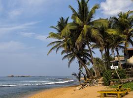 Wild About Wilpattu - 10 Days