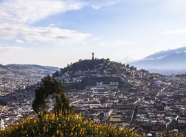 Ecuador Amazon Adventure - 6 Days