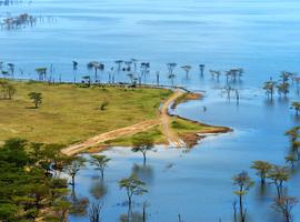Nakuru, Naivasha & Mara Safari (Lodge) - 5 Days